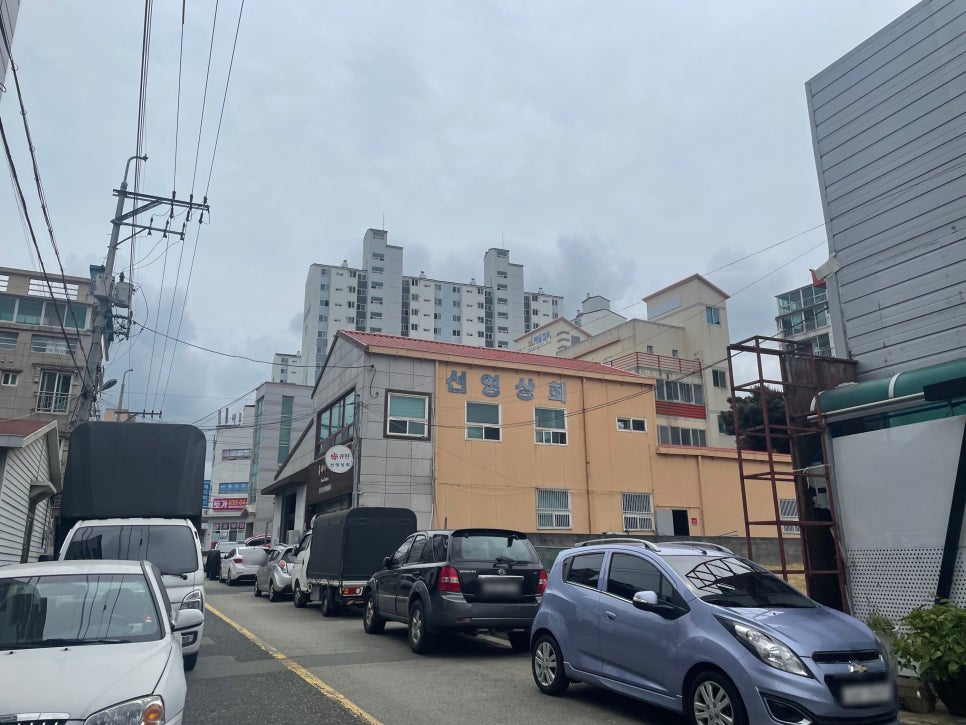 선영상회 이미지