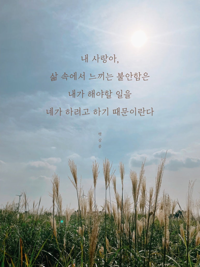 카페라리성남 이미지