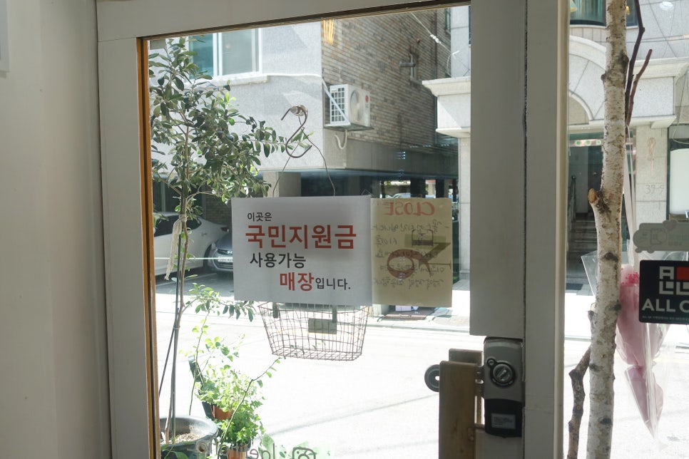 라이티티아플로 이미지
