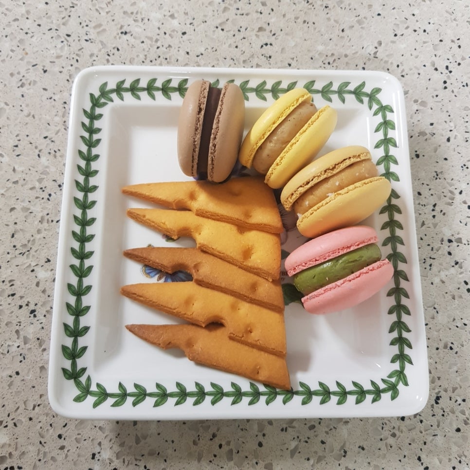 더마카롱 이미지