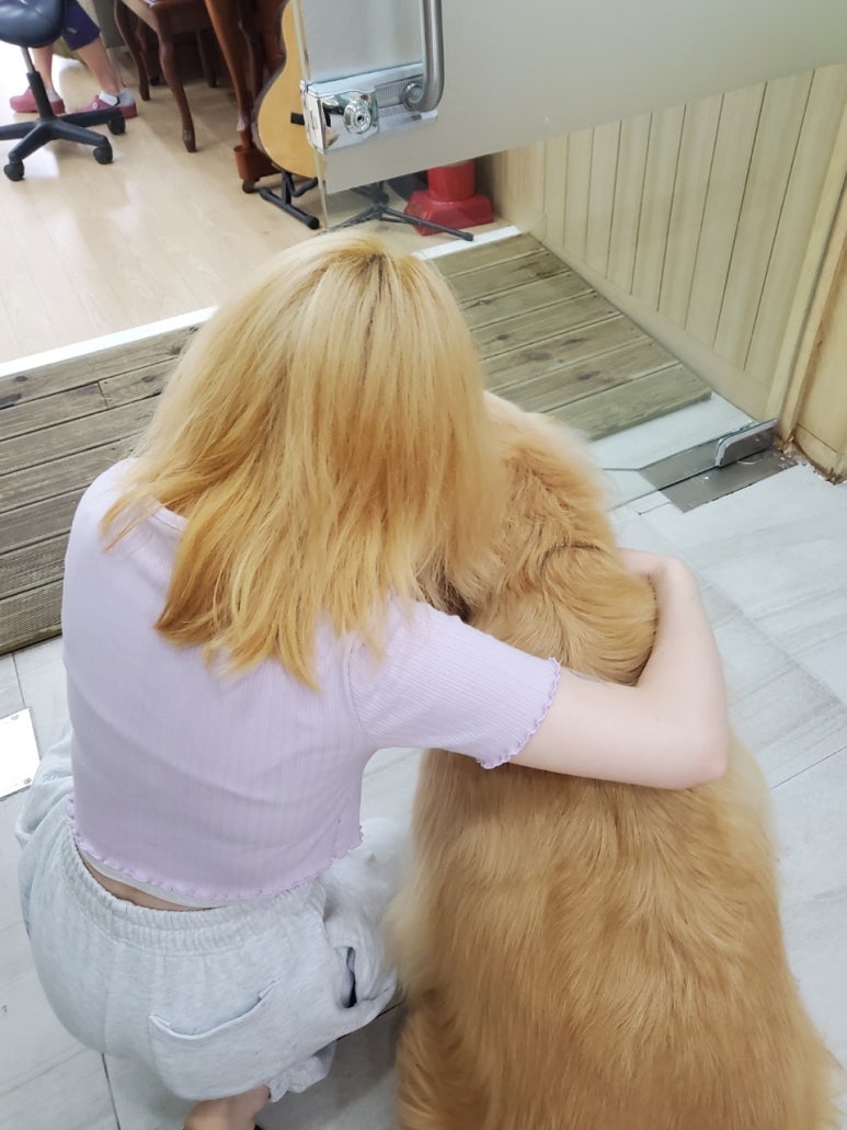 아트현 이미지