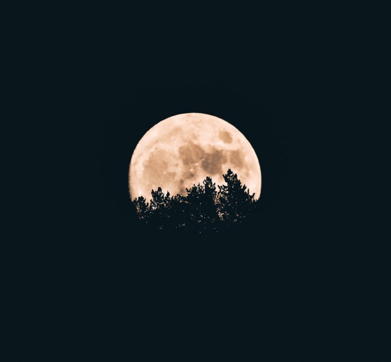 동산세탁소 이미지