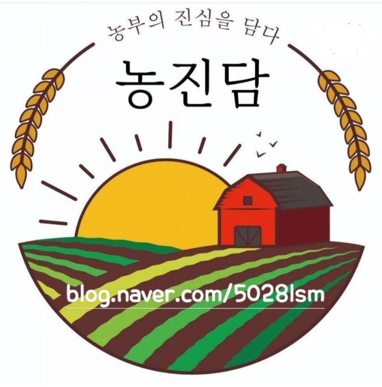 과일에진심을담다 이미지