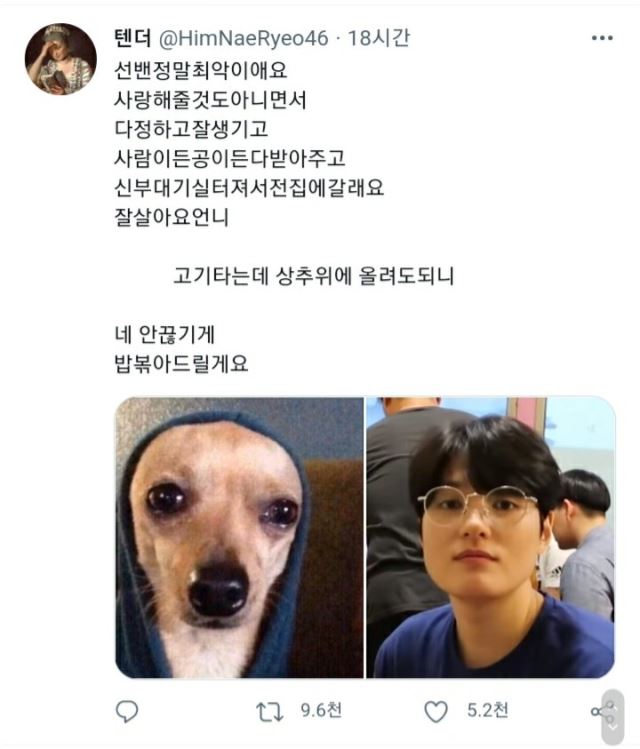 시나본 이미지