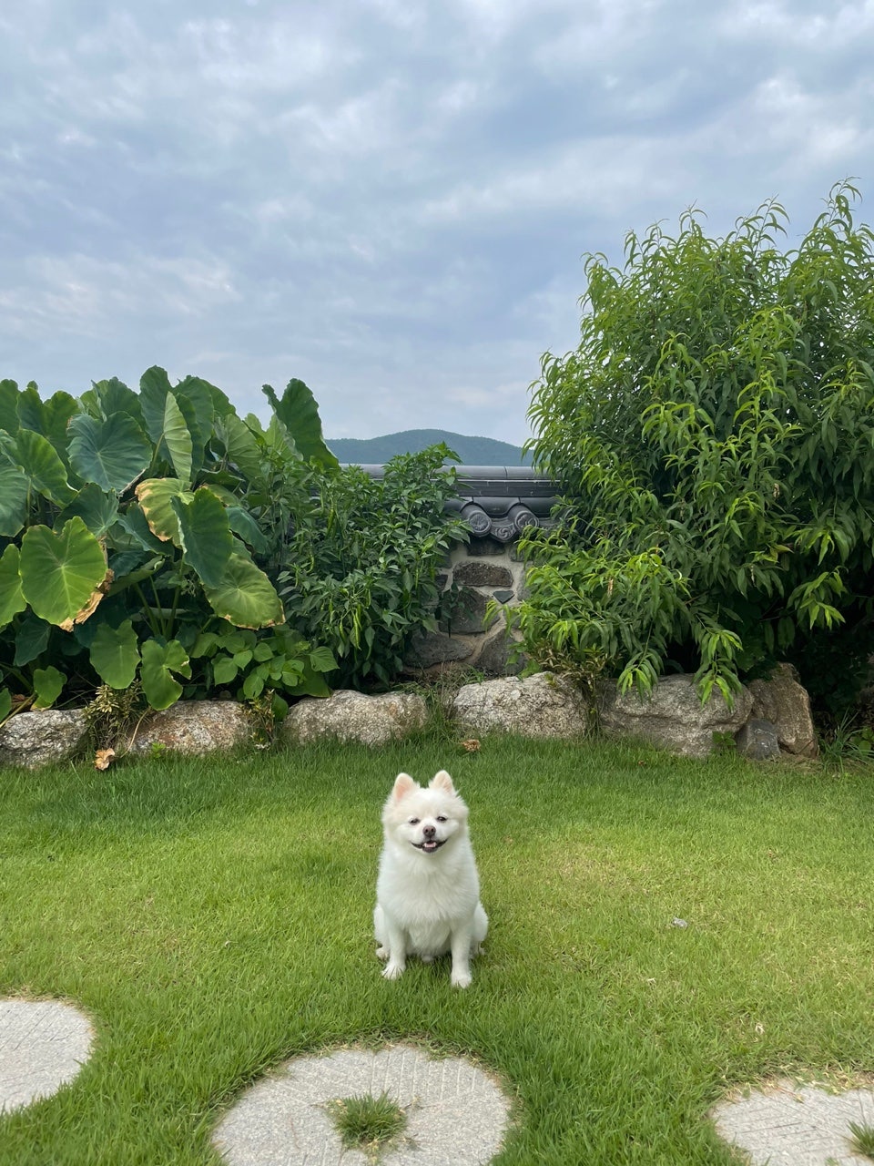 춘살롱 이미지