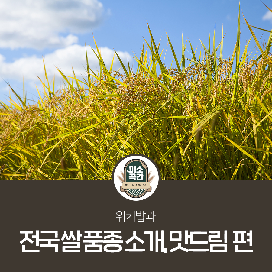 맛드림 이미지