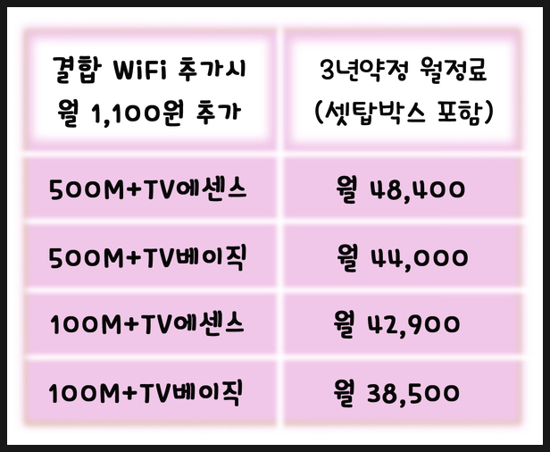 KT철원케이티 이미지