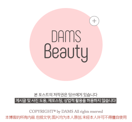 디케이샤인 이미지