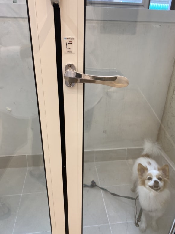 다인전기인테리어 이미지