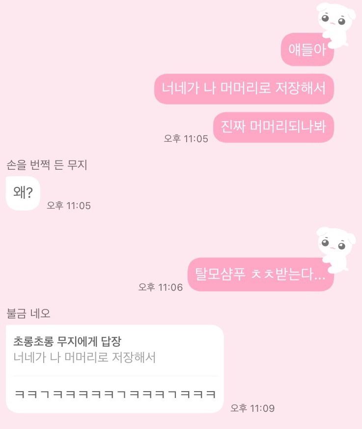 샨헤어 이미지