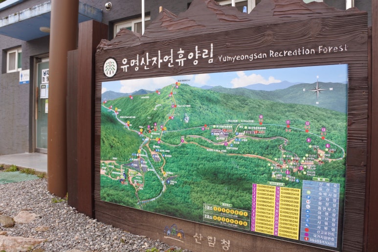 경기도산행 유명산 자연휴양림 등산코스 걷기 좋은 경기도 둘레길 | 여행이야기 | 추천여행 | 경기관광플랫폼