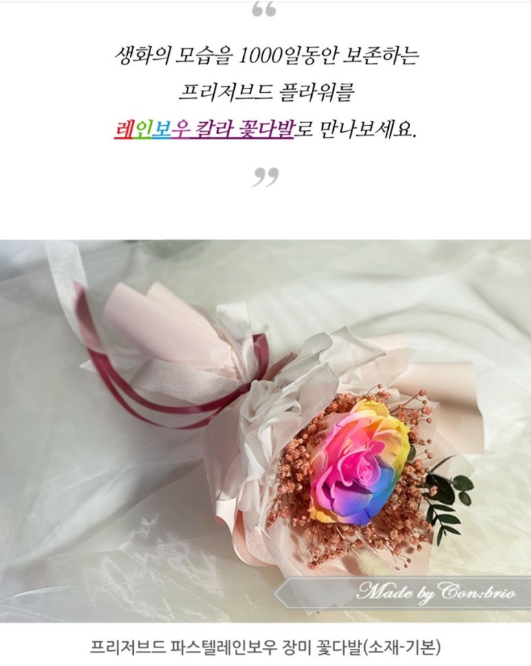 컨브리오 이미지