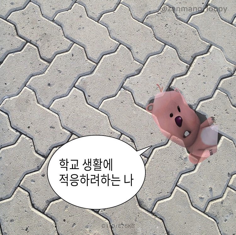 함초롱 이미지
