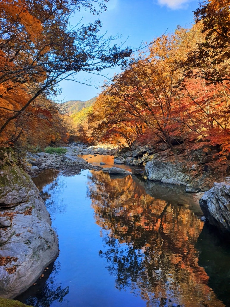 조군투어 이미지