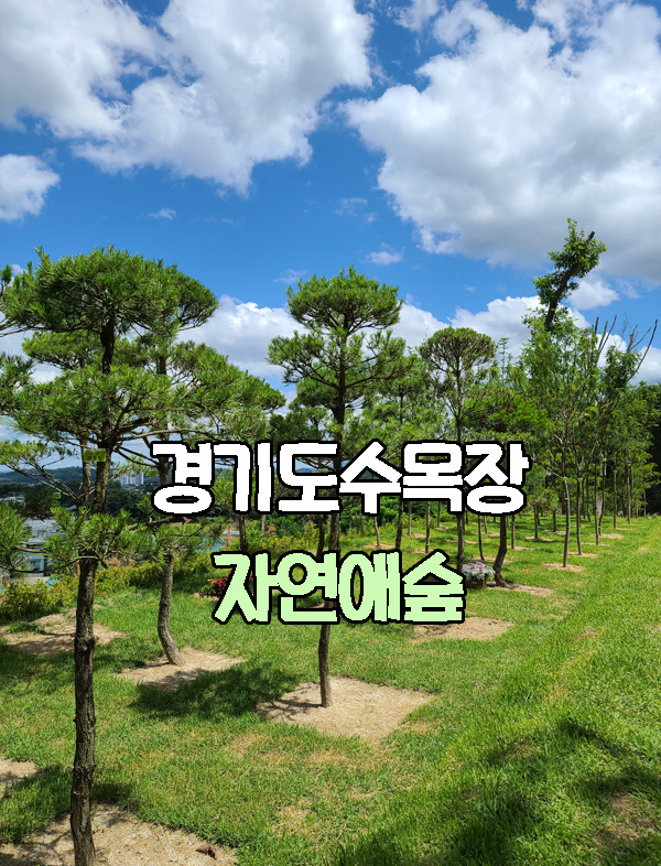 성남시장례문화사업소 이미지