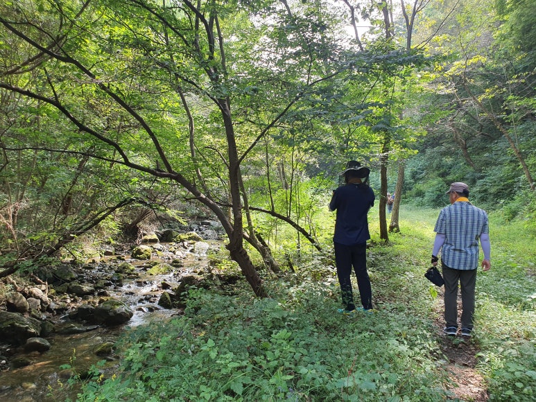 칠갑산장곡마을 이미지
