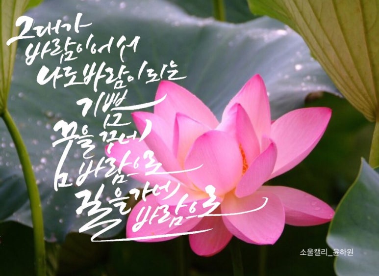 이시꾸네일 이미지