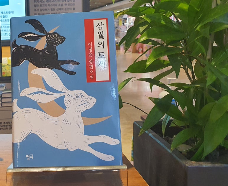 삼월의토끼 이미지