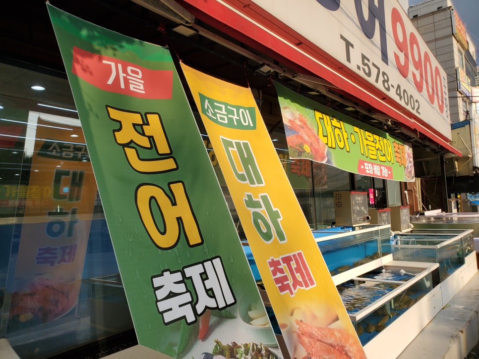 광어９９００ 이미지