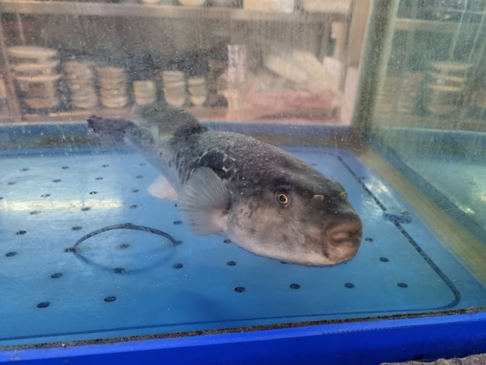 대복복집 이미지
