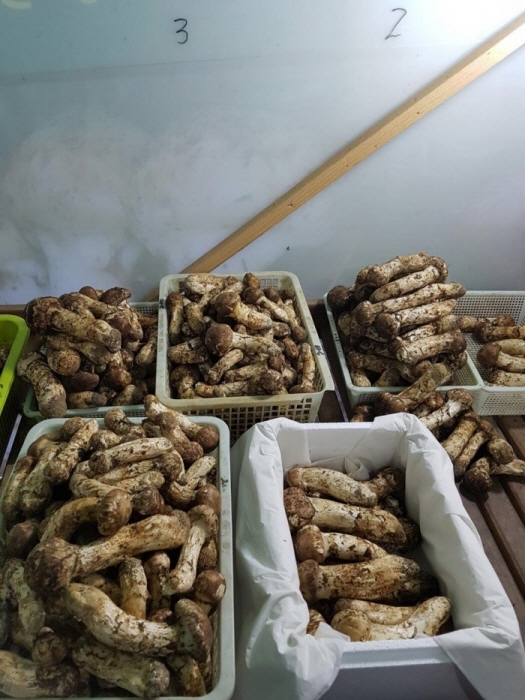 봉화농산 이미지