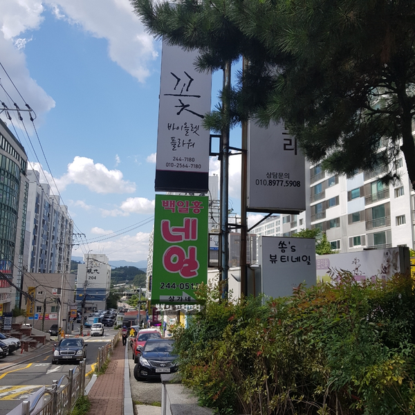 백일홍네일 이미지