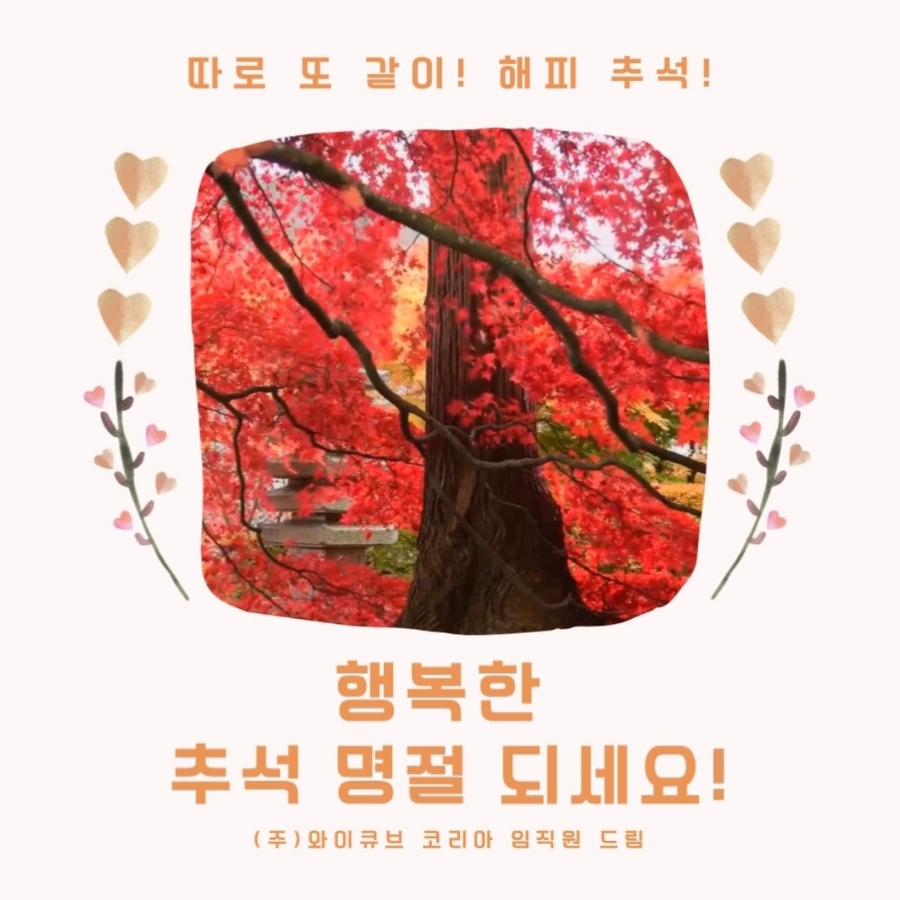 주식회사 행복드림 이미지