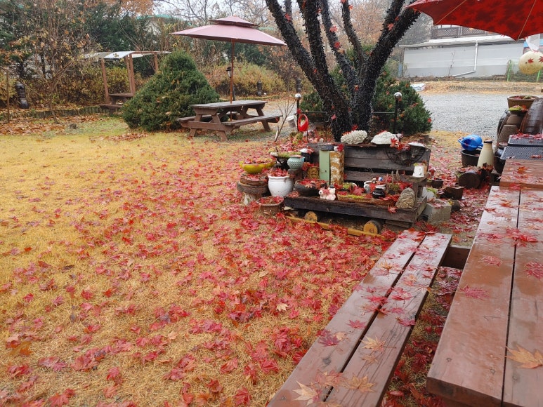 밸리러브 이미지