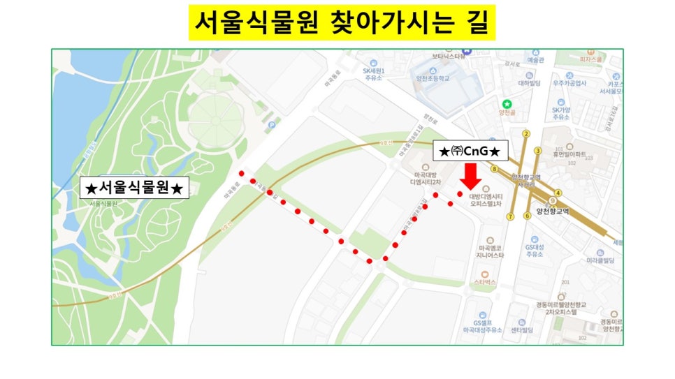 씨엔지교육코칭센터 이미지