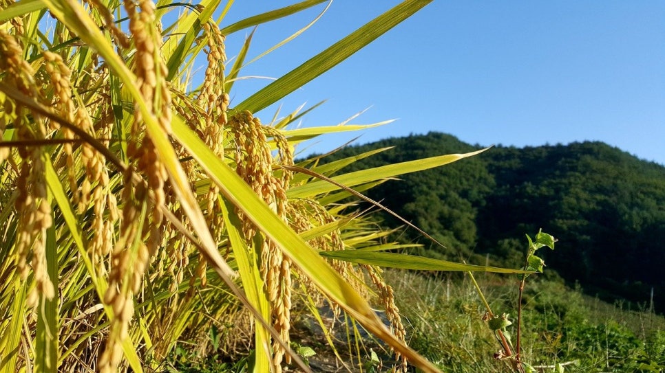 광성유통 이미지