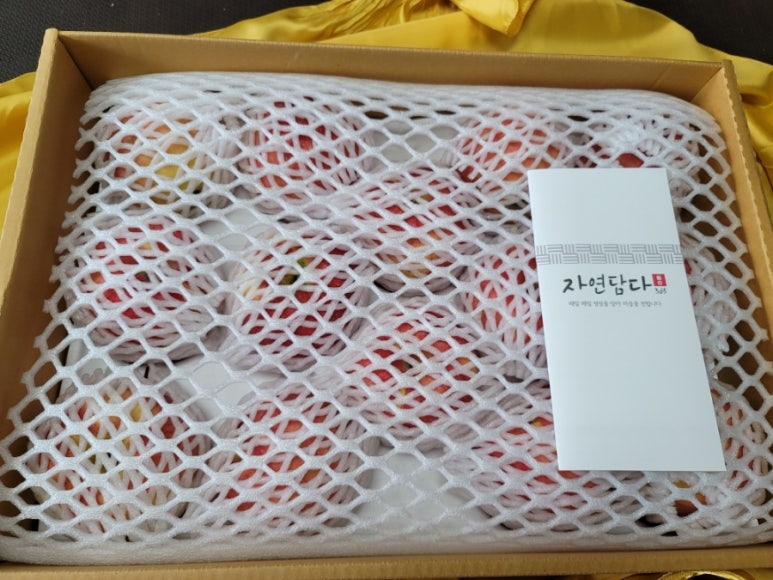 자연담다365 이미지