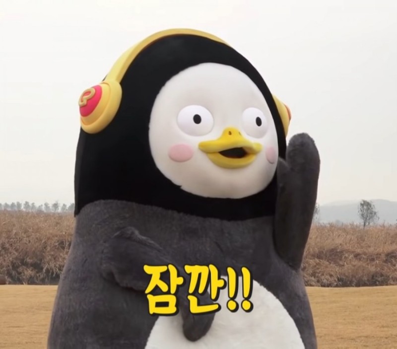 티투엘/팀터틀랫피트니스롯데백화점 이미지