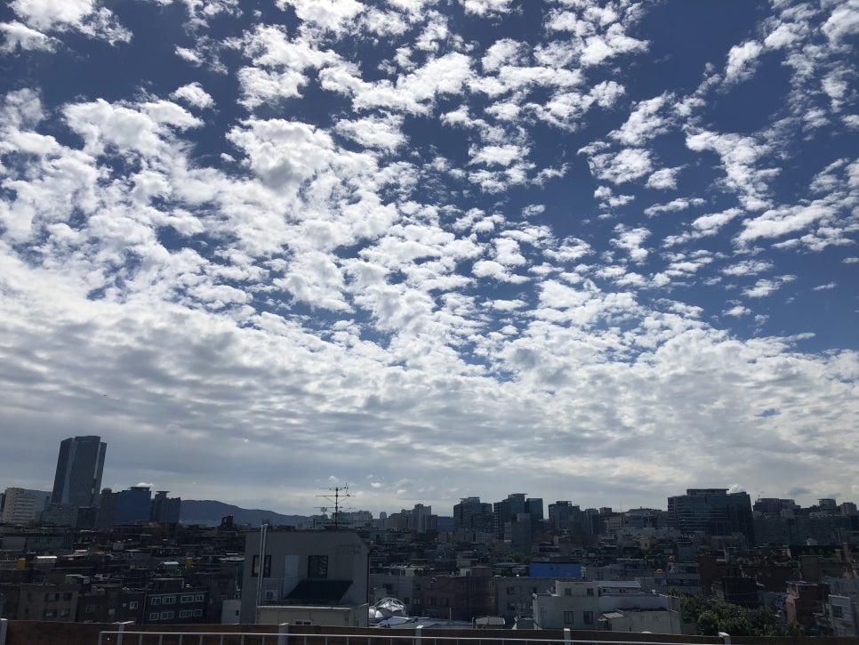 위킵(주) 이미지