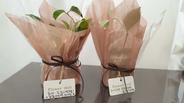 플라워1030(Flower1030) 이미지
