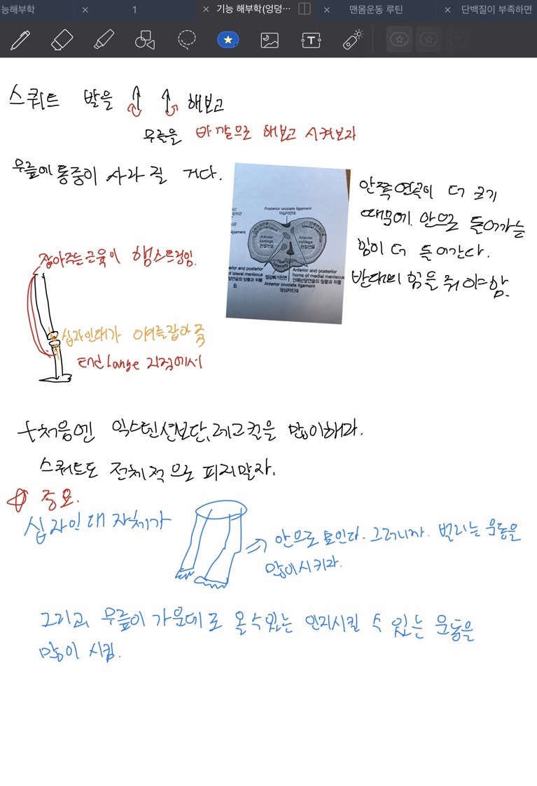 바로핏 이미지