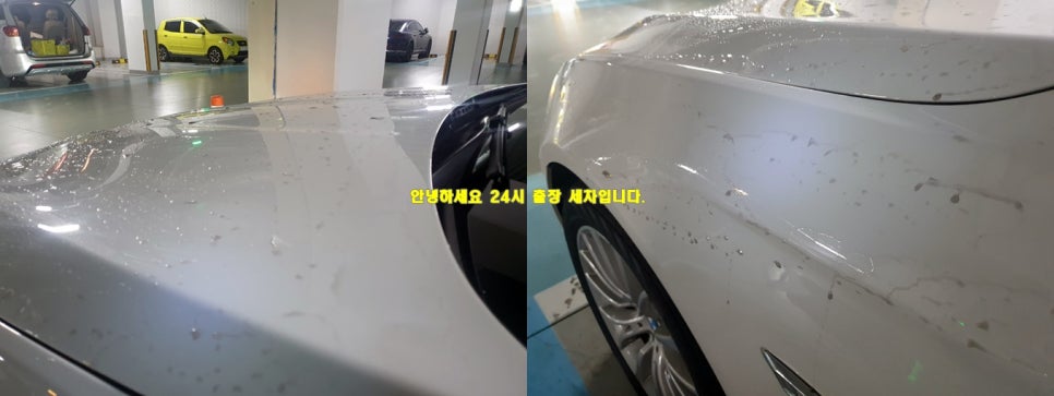 스펀지출장세차 이미지