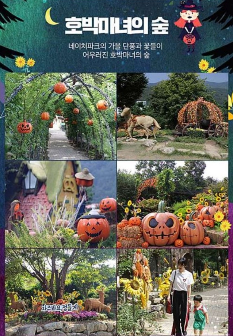 호박라이브 이미지