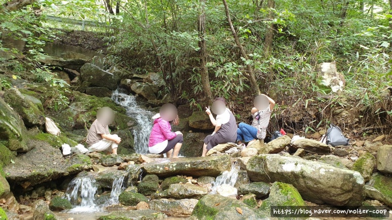 고산 산림교육센터 이미지