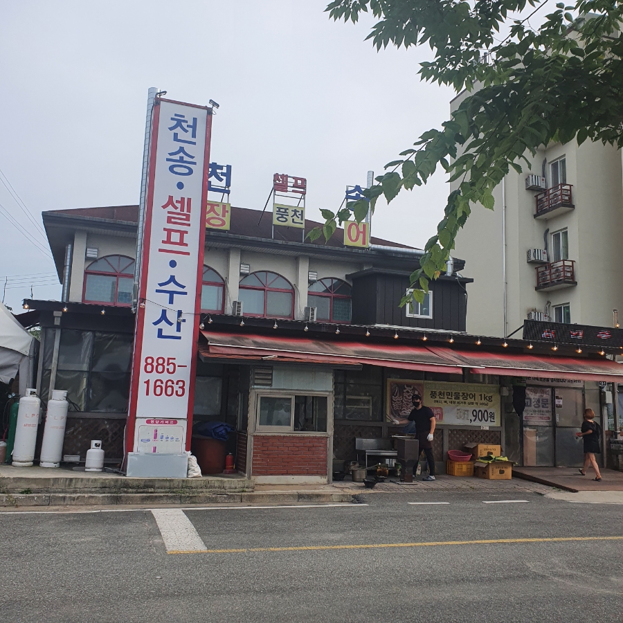 천송셀프 이미지
