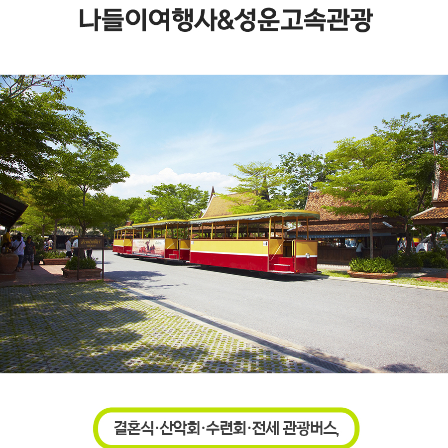 나들이여행사&성운고속관광 이미지