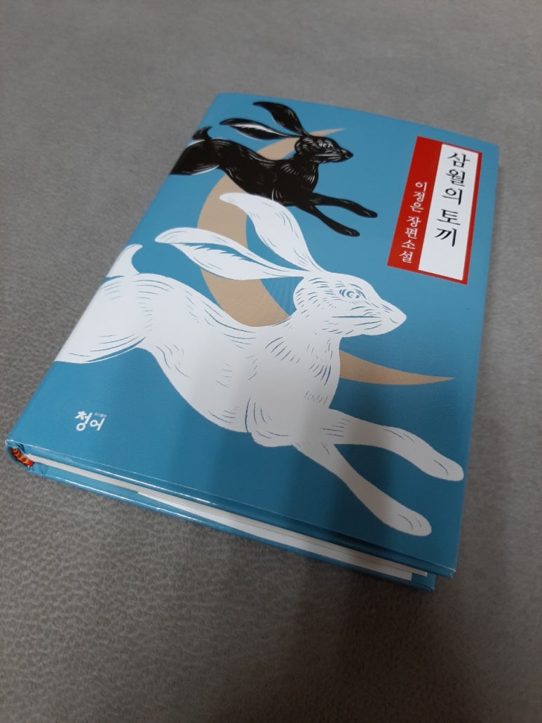 삼월의토끼 이미지
