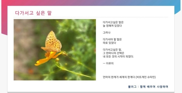 이루미 이미지