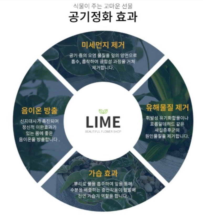 두정알프레드음악학원 이미지