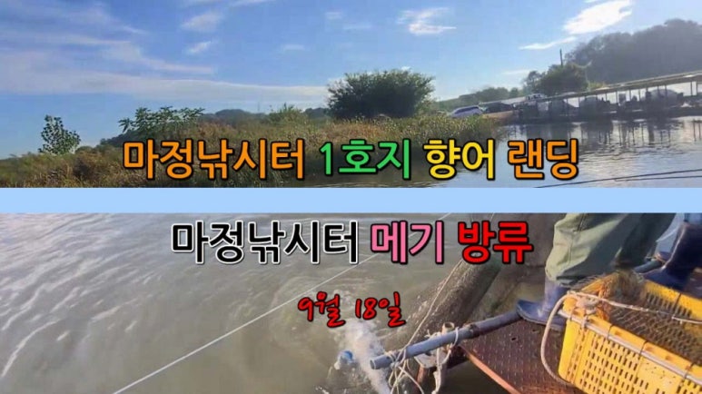 오늘은향어 이미지