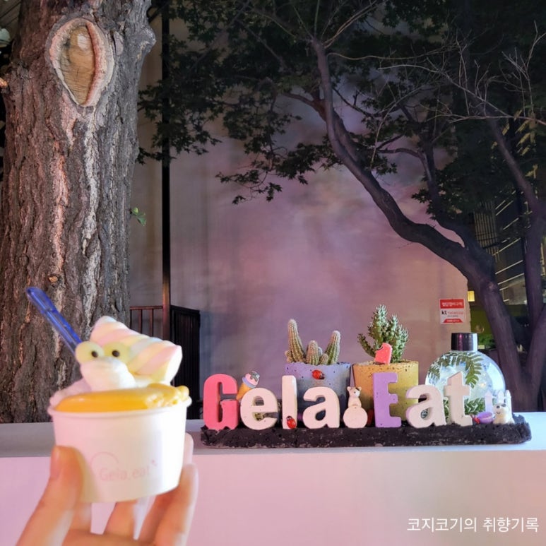젤라잇(Gela, eat) 이미지