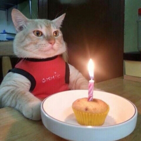 카페생일(Happy birthday) 이미지