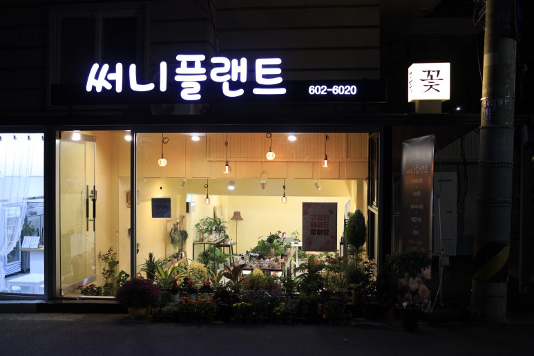써니플랜트 이미지
