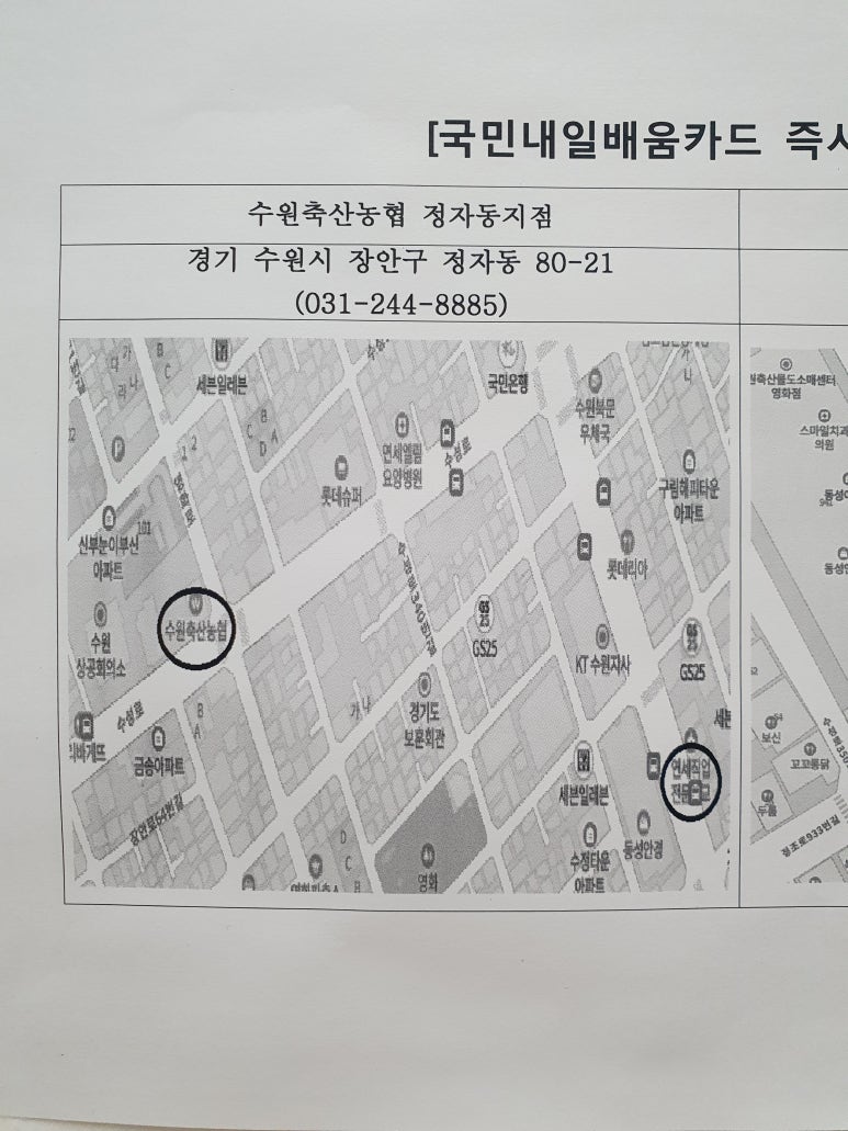 잡연세인재개발원 이미지
