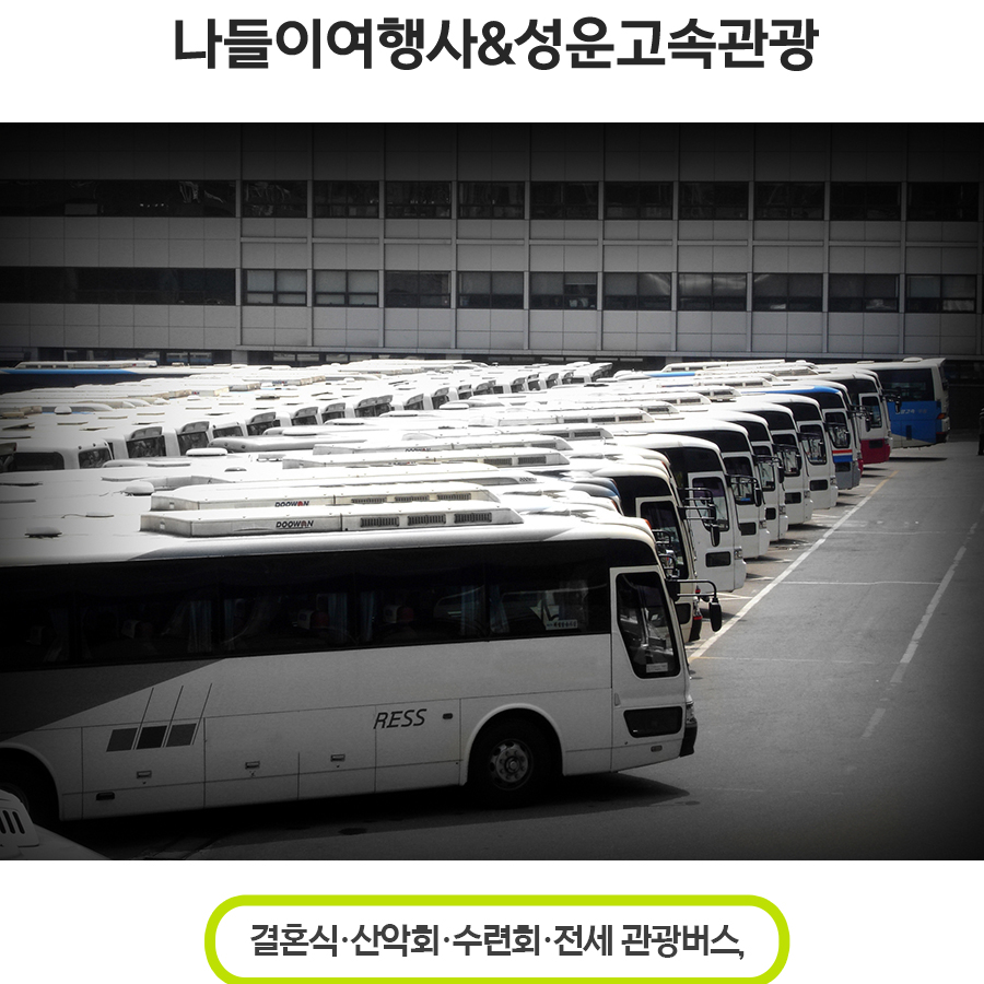 나들이여행사&성운고속관광 이미지