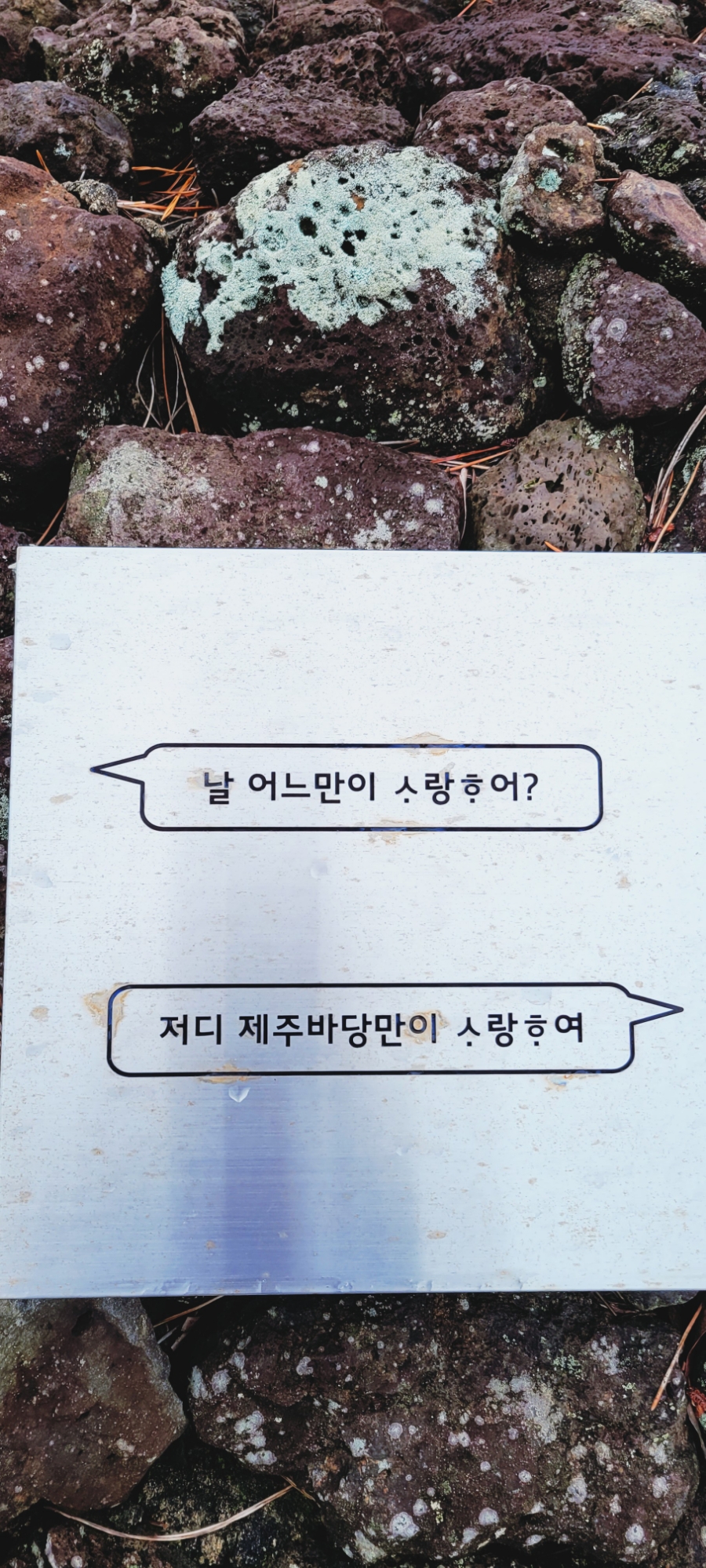 다산동여행사 이미지